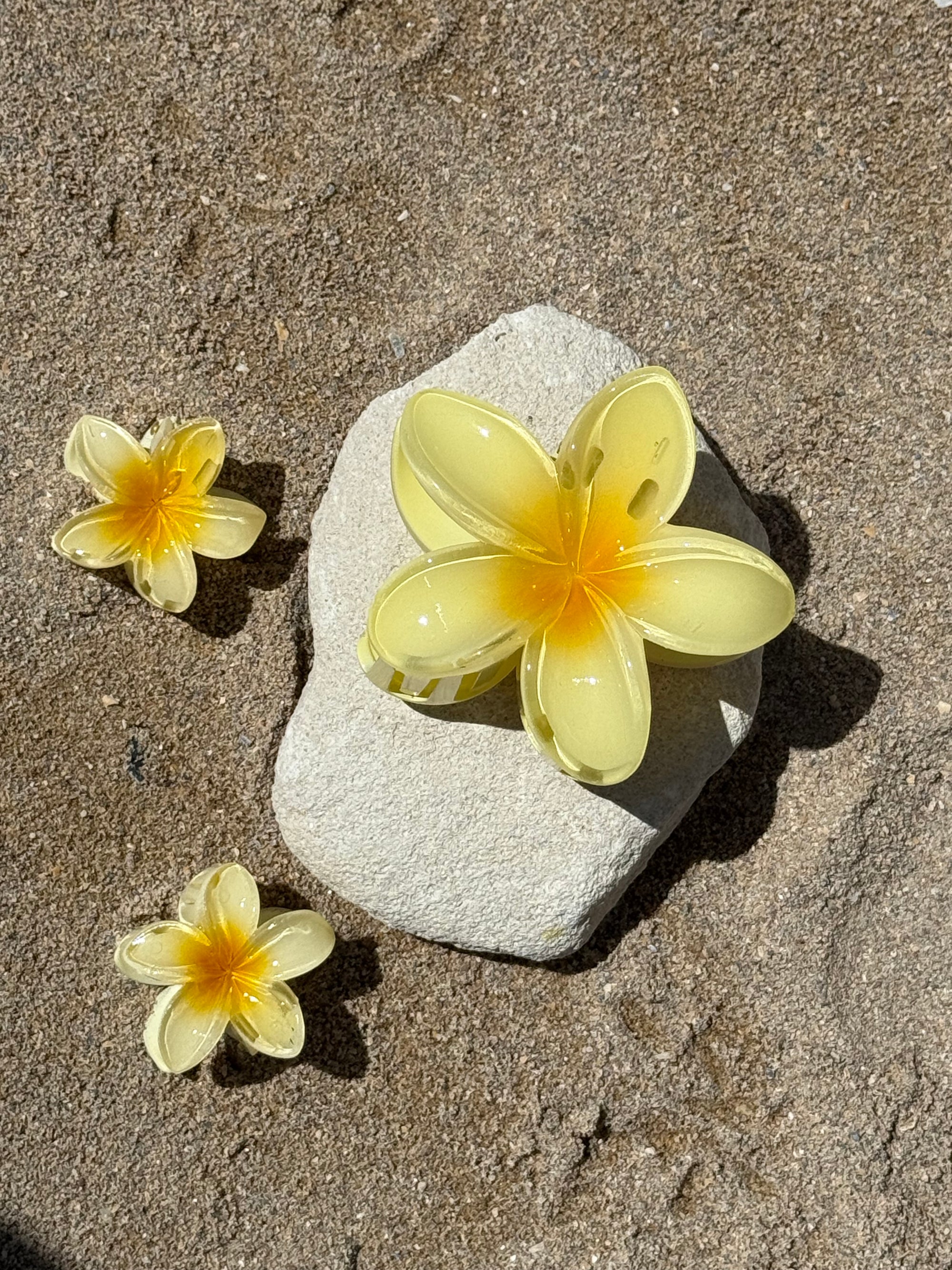 Pinces jaune
