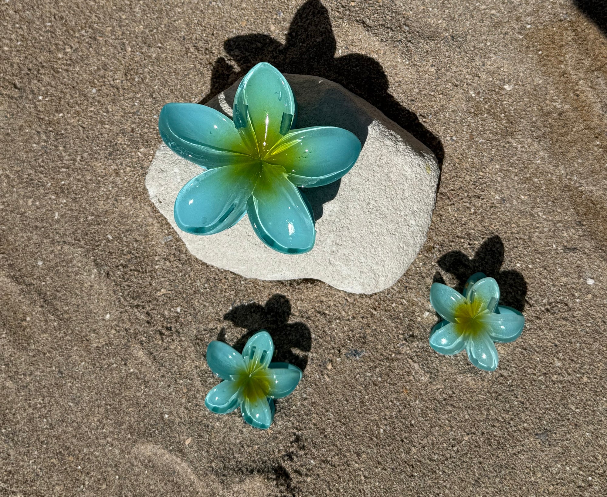 Pinces bleu